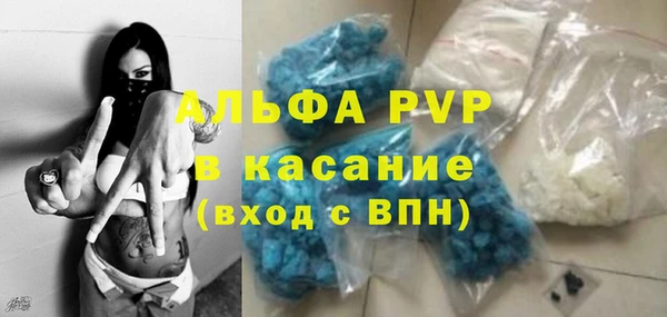 гидра Ладушкин