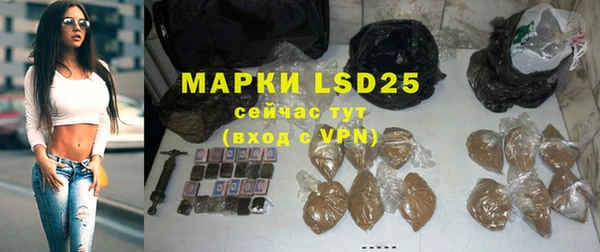 гидра Ладушкин