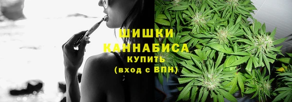 гидра Ладушкин